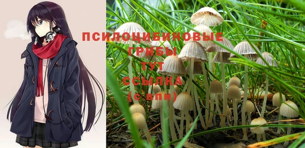 стафф Бородино