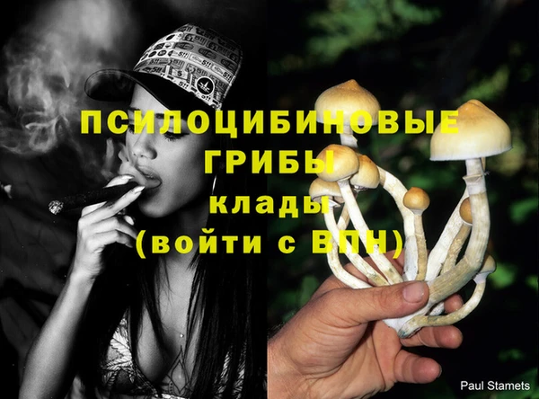 не бодяженный Богданович