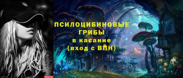 стафф Бородино