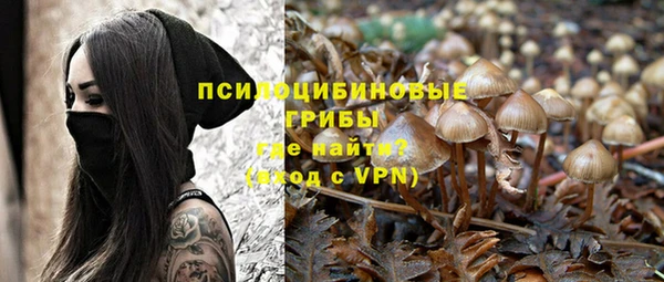 стафф Бородино