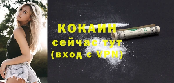 стафф Бородино