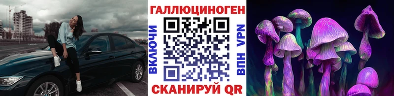 это какой сайт  Дигора  Псилоцибиновые грибы мицелий 